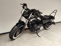 HARLEY-DAVIDSON SPORTSTER 1200 FORTY EIGHT STAGE 1