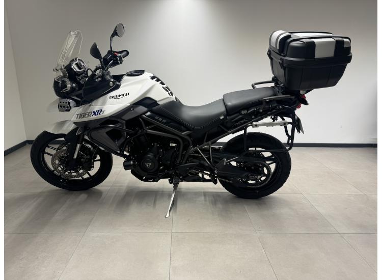 TIGER 800 XRT